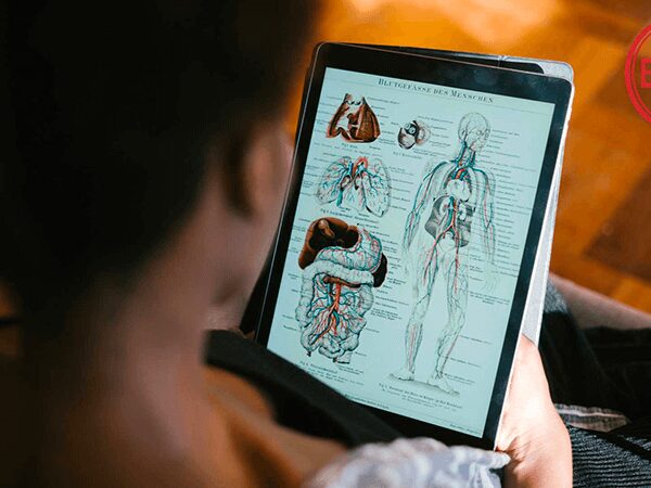 Cours d’anatomie, physiologie et pathologie en PDF – 667 pages illustrées à télécharger