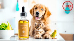 Fiole d’or colloïdal posée devant un chiot, un chaton et un oiseau, symbolisant l’usage possible du colloïde d’or en soutien au bien-être des animaux domestiques – illustration pour un e-book santé animale.