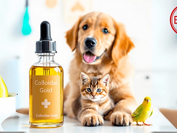 Fiole d’or colloïdal posée devant un chiot, un chaton et un oiseau, symbolisant l’usage possible du colloïde d’or en soutien au bien-être des animaux domestiques – illustration pour un e-book santé animale.