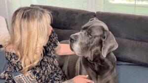 Femme avec son chien illustrant la relation développée grâce à la formation massage canin avec Sophie Antille