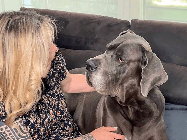 Femme avec son chien illustrant la relation développée grâce à la formation massage canin avec Sophie Antille
