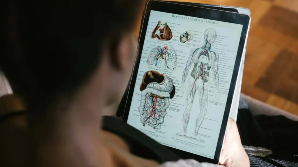 Un élève étudie l'anatomie humaine sur une tablette numérique dans le cadre de la formation en massage classique.