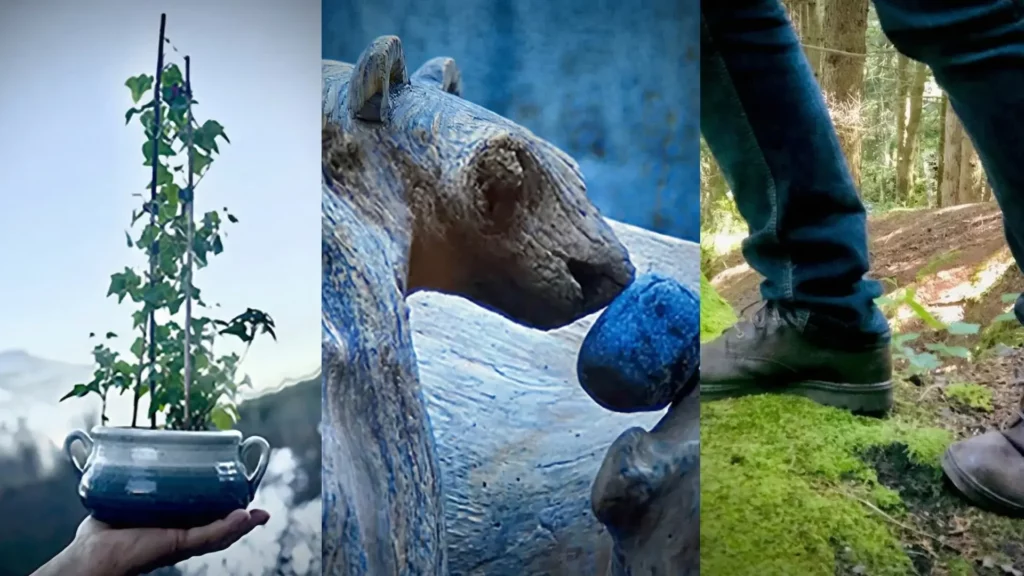 Le thérapeute Éric Fleury illustre ses thérapies énergétiques avec un montage symbolisant la présence au vivant, la transmutation des énergies et l'ancrage profond à la terre.